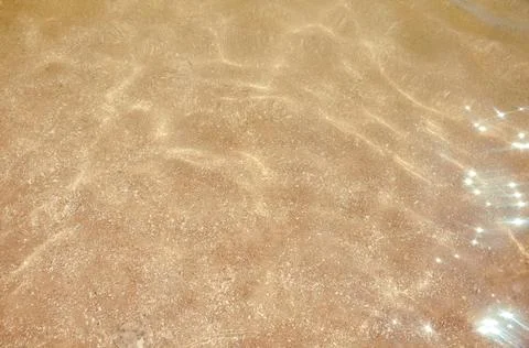 Seashells top view. Shell close-up. Ocean coast. Summer pattern from seashell Stock Photos