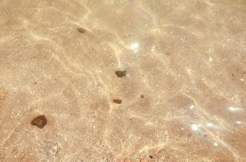 Seashells top view. Shell close-up. Ocean coast. Summer pattern from seashell Stock Photos