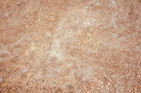 Seashells top view. Shell close-up. Ocean coast. Summer pattern from seashell Stock Photos