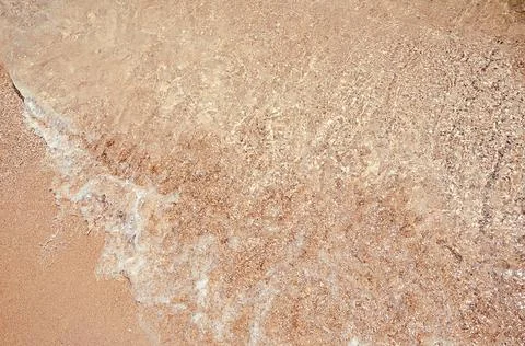 Seashells top view. Shell close-up. Ocean coast. Summer pattern from seashell 写真素材