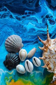 Seashells on a variegated background Stock Photos