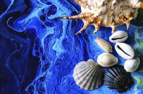 Seashells on a variegated background Stock Photos