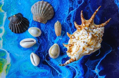 Seashells on a variegated background Stock Photos