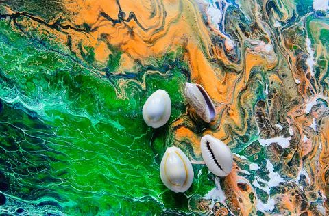 Seashells on a variegated background Stock Photos