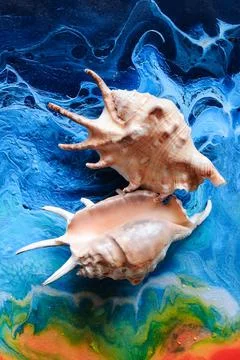 Seashells on a variegated background Stock Photos