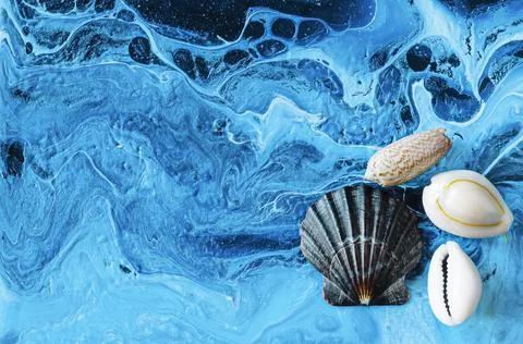 Seashells on a variegated background Stock Photos