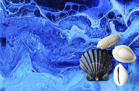 Seashells on a variegated background Stock Photos