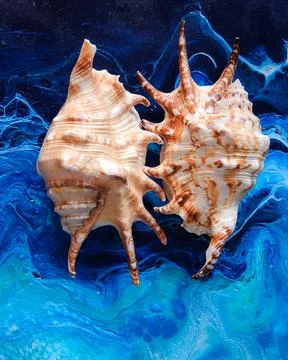 Seashells on a variegated background Stock Photos