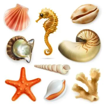 Seashells, vector icon set Stock Illustration
