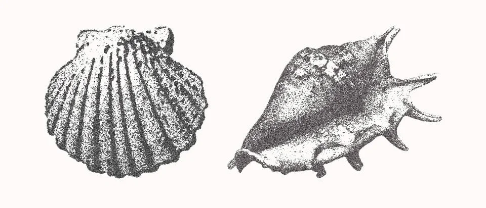 Seashells vector illustration collection. Trendy stippling photocopy effect 스톡 일러스트