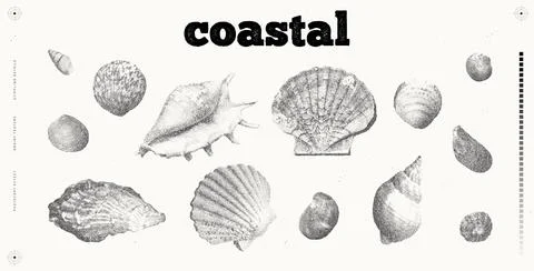 Seashells vector illustration collection. Trendy stippling photocopy effect Stock Illustration