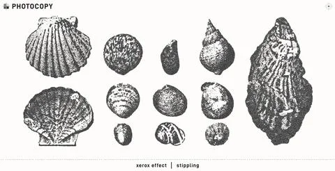 Seashells vector illustration collection. Trendy stippling photocopy effect Stock Illustration