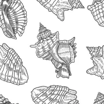 Seashells vector seamless pattern. Illustrazione stock