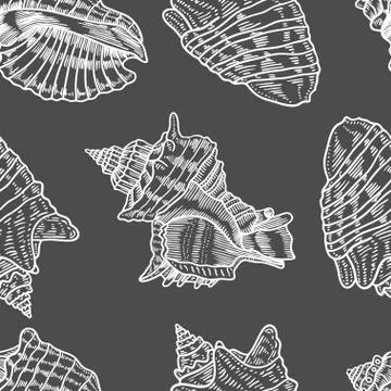 Seashells vector seamless pattern. Illustrazione stock