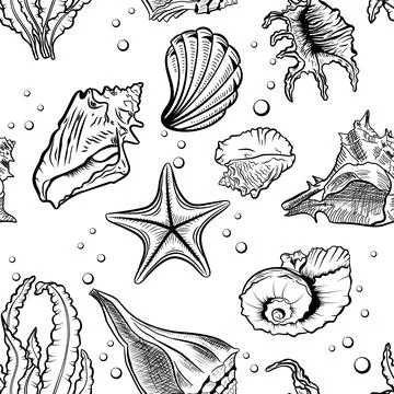 Seashells vector seamless pattern Illustrazione stock