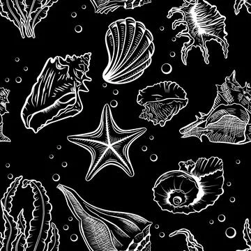 Seashells vector seamless pattern Illustrazione stock