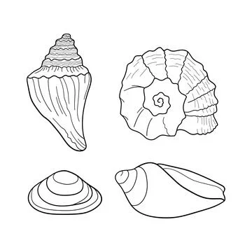 Seashells vector set. Collection of shells different forms. Marine set. Hand- Stock Illustration