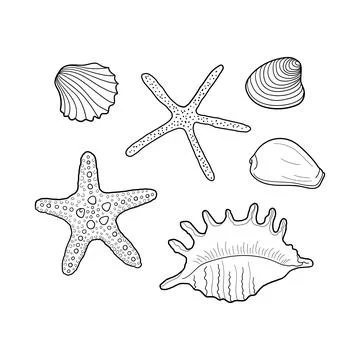 Seashells vector set. Collection of shells different forms. Hand-drawn illust Stock Illustration