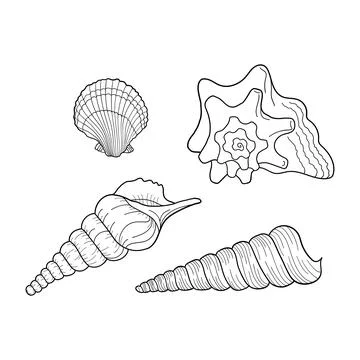 Seashells vector set. Marine set. Collection of shells different forms. Hand- Ilustración de archivo