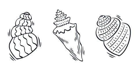 Seashells vector sketch illustration Illustration
