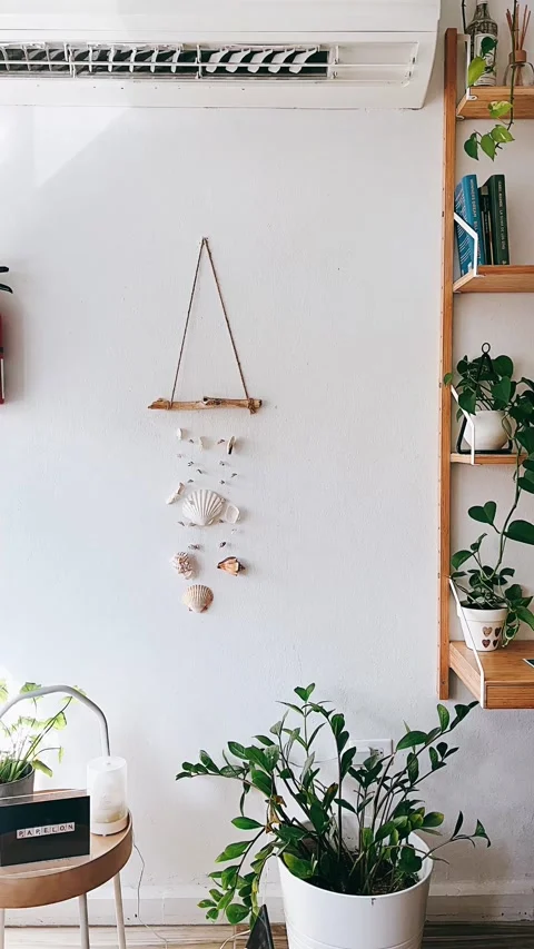 Seashells on the wall, flower, house, architecture, flowers, Stock Footage 232613632