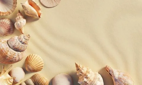 Seashells on the white sand beach background with copy space. Nature and ma.. Stock Illustration