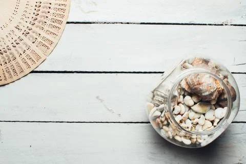 Seashells on wooden surface Stock Photos