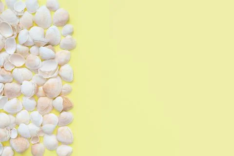 Seashells on a yellow background. Copy space. Place for text. Top view. Flat lay Stock Photos
