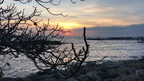 Seashore and sunset Stock Footage 145679764