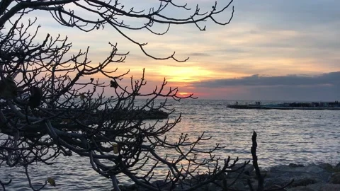 Seashore and sunset Stock Footage 145679830