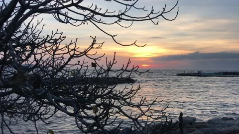 Seashore and sunset Stock Footage 145680804