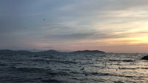 Seashore and sunset Stock Footage 145680971