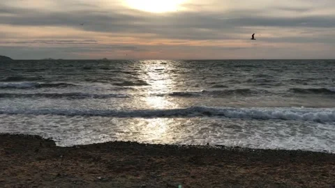 Seashore and sunset Video stock 146993444