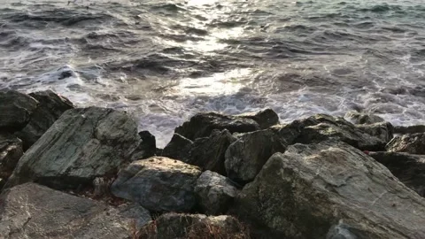 Seashore and sunset Stock Footage 146993560