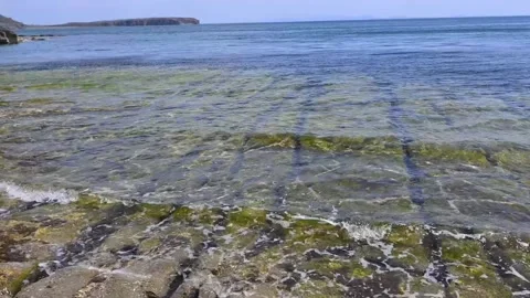 The seashore and the waves on the sea Video stock 239679300