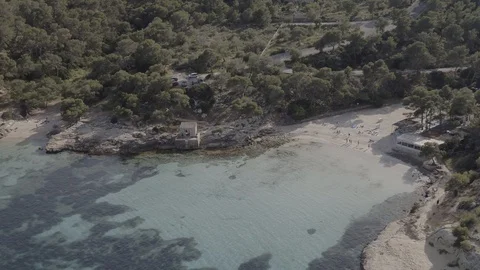 Seashore, beach and native forest, drone shot from sea, Mallorca, raw in 4k. Stock Footage 89865798