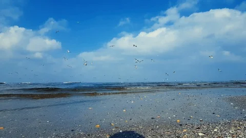 Seashore beach and waves Stock Footage 85998182