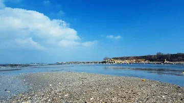Seashore beach and waves Stock Footage 85998205