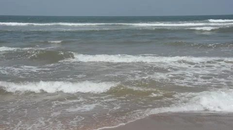 Seashore, East coast Stock Footage 50590695