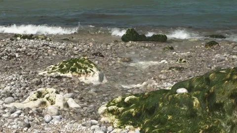 Seashore of Etretat Stock Footage 173560851