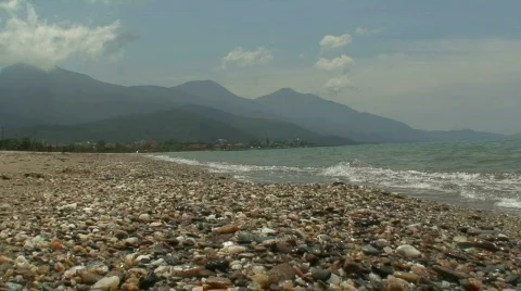 Seashore Video stock 77996