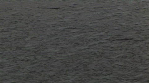 Seashore 스톡 동영상 847443