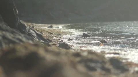 Seashore Stock Footage 117822606