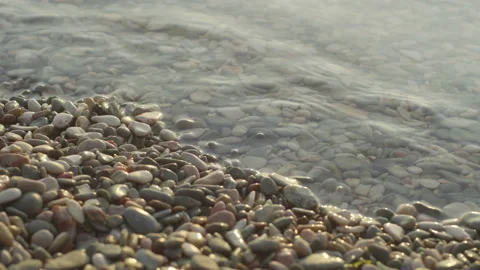 Seashore Stock Footage 121442656