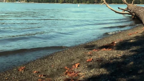 Seashore Stock Footage 140158691