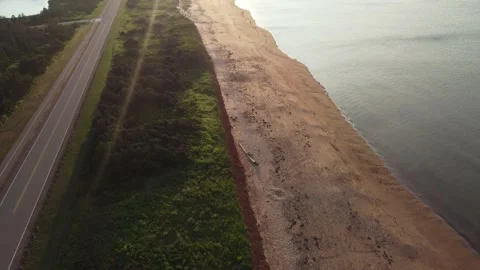 Seashore Stock Footage 162599446