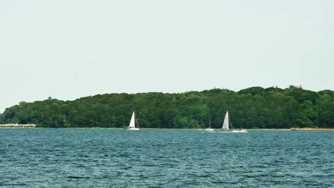 Seashore with a forest with passing sailing yachts in the distance Vídeos de archivo 259694818