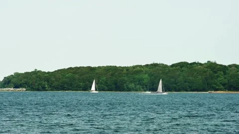Seashore with a forest with passing sailing yachts in the distance, in slow Vídeos de archivo 259694819
