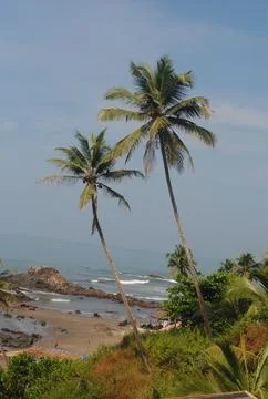 Seashore at Goa to spend evening time  Stock Photos