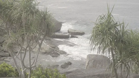 Seashore from the height Stock Footage 91827249